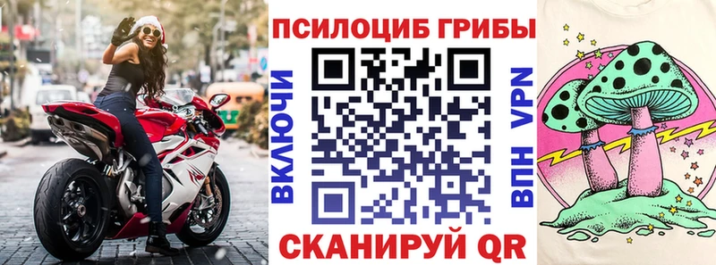 Купить где  Гурьевск  Псилоцибиновые грибы прущие грибы 