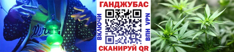 Конопля гибрид  Купить закладки  Гурьевск 